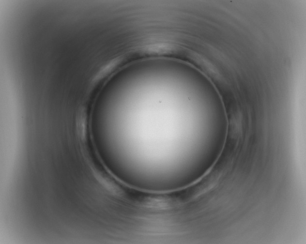 X0000114240446200910091512
