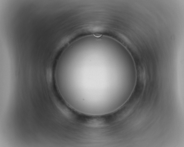 X0000114240447200910091512