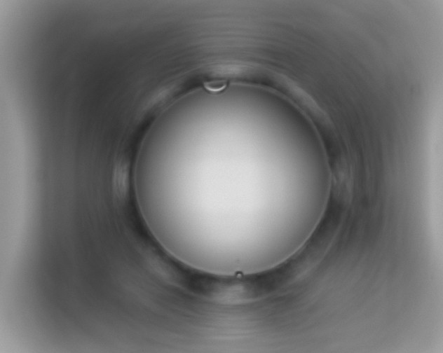 X0000114240454200910091512