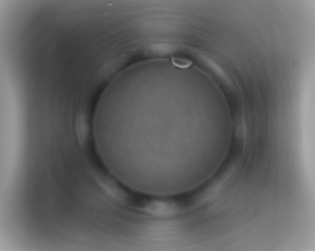 X0000114240455200910091512