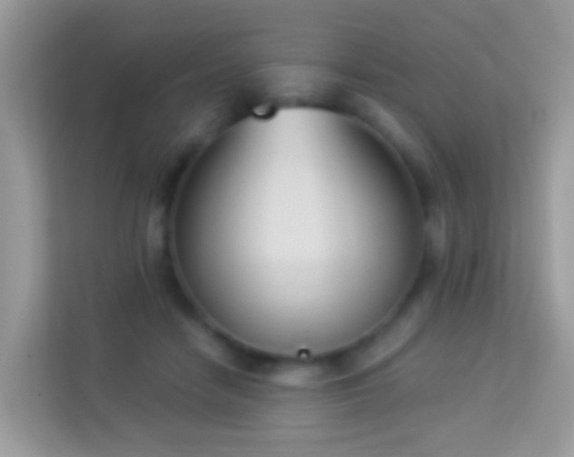 X0000114240458200910091512