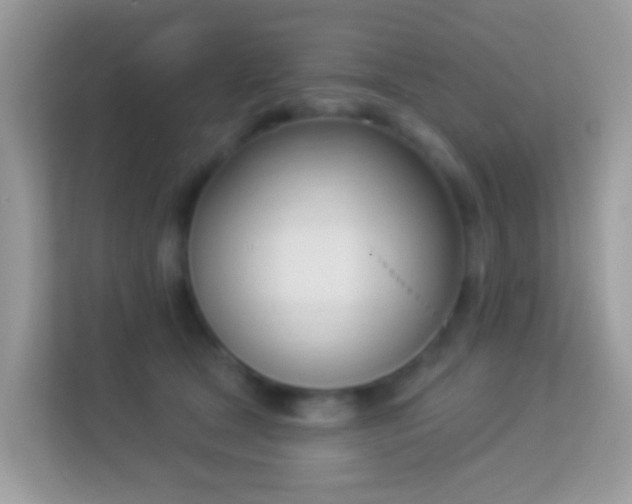 X0000114240465200910091512