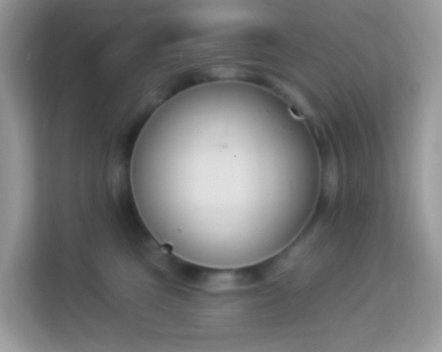 X0000114240473200910091512