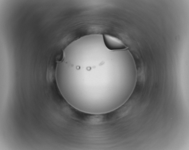 X0000114240474200910091512