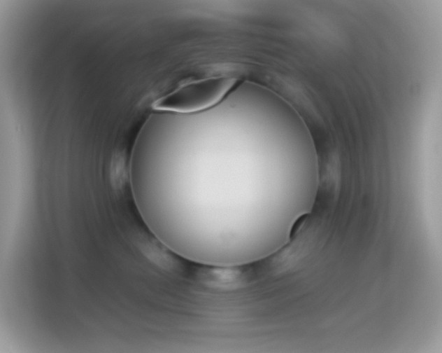 X0000114240478200910091512