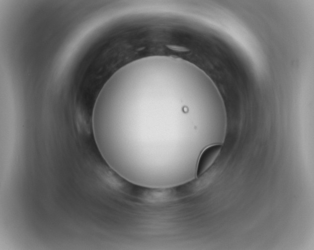 X0000114240479200910091512