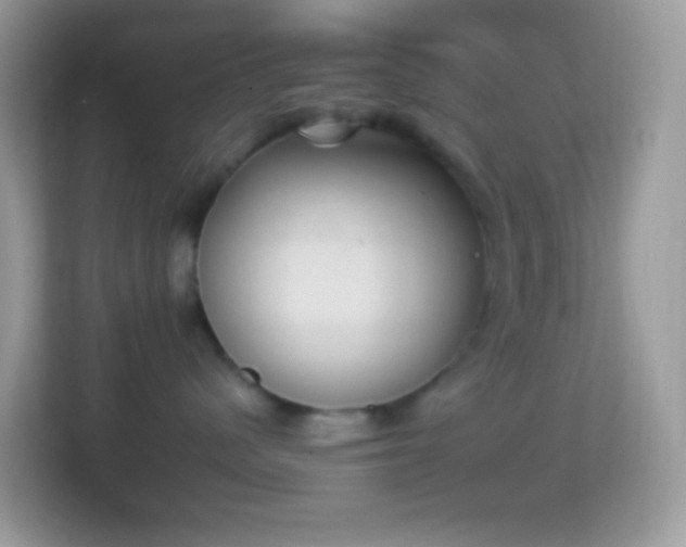 X0000114240480200910091512