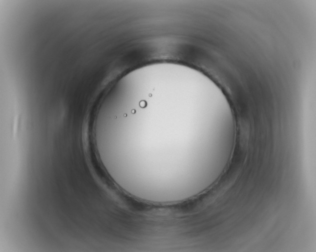 X0000114240482200910091512