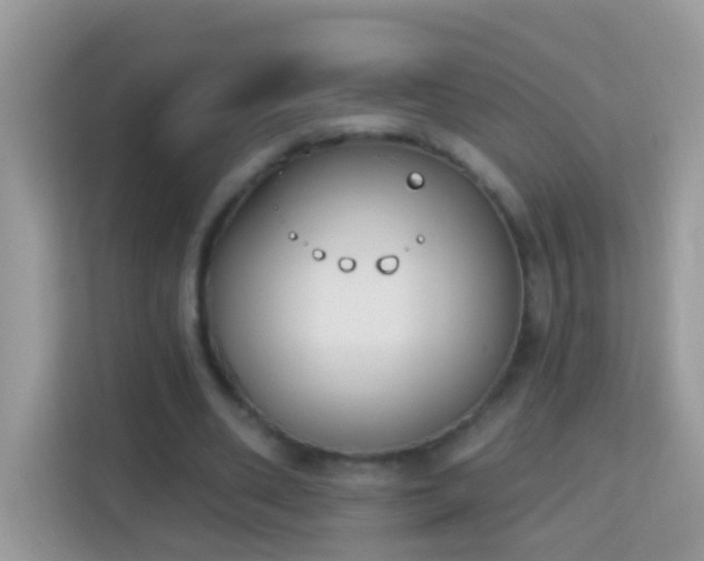 X0000114240486200910091511