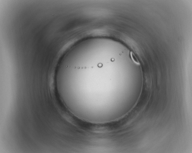 X0000114240487200910091511