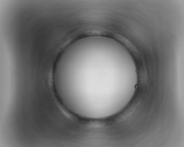 X0000114240489200910091511