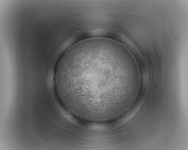 X0000114240490200910091511