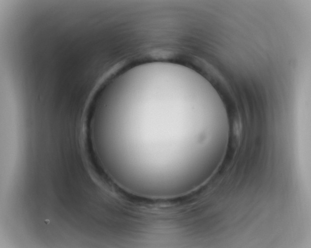 X0000114240492200910091511