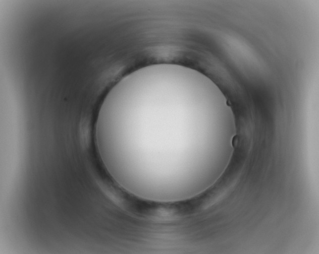 X0000114240496200910091511