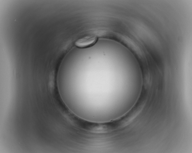 X0000114240497200910091511