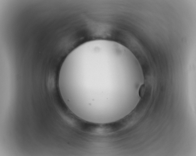 X0000114240504200910091511