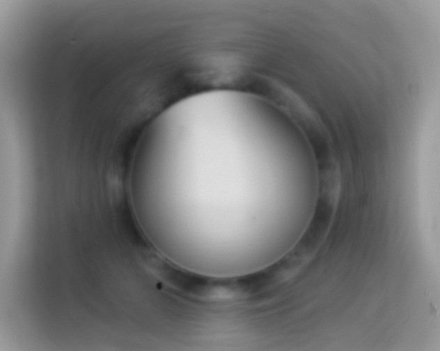 X0000114240510200910091511