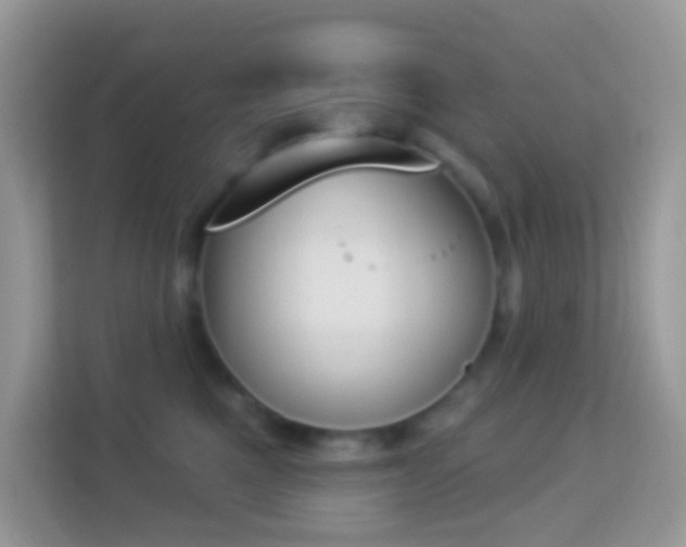 X0000114240521200910091511