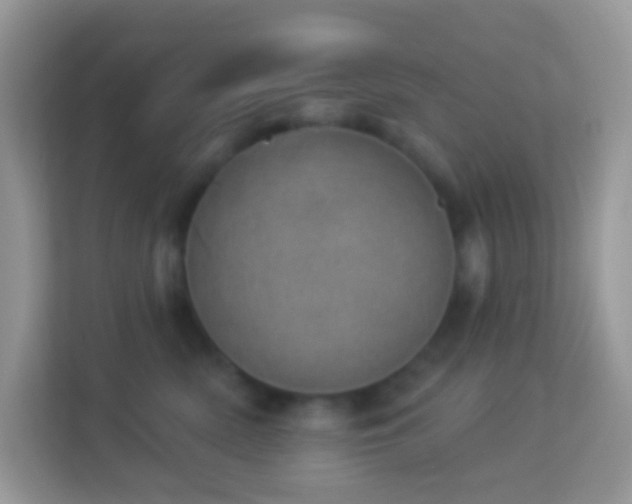 X0000114240522200910091511
