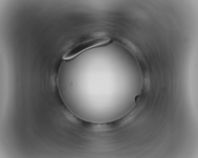 X0000114240525200910091511