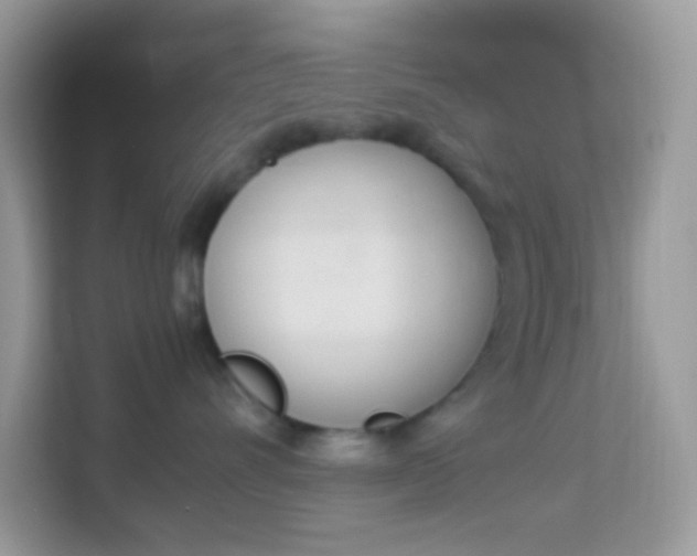 X0000114240528200910091511