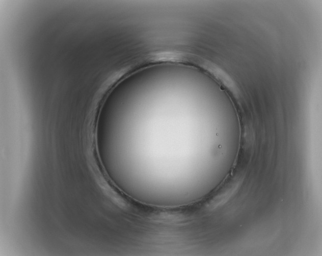 X0000114240529200910091510