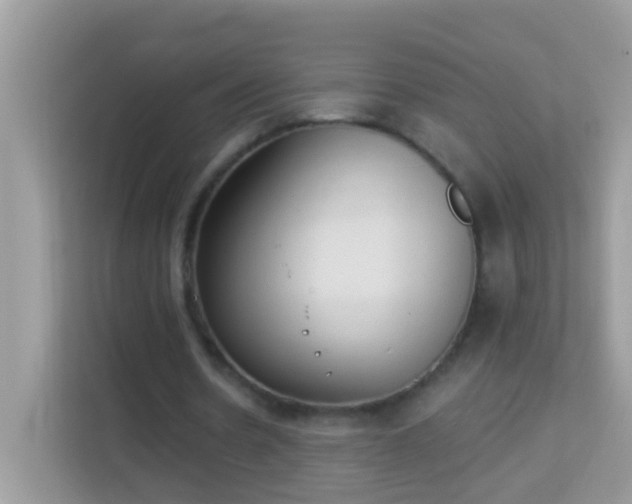 X0000114240530200910091510