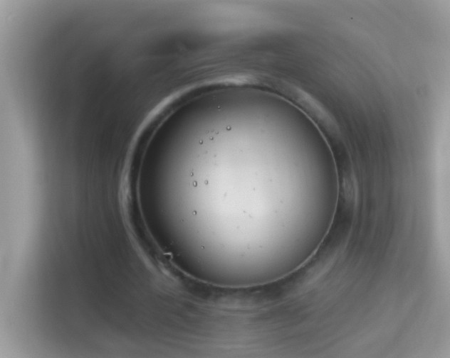 X0000114240532200910091510