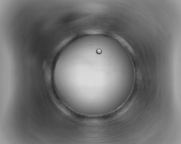 X0000114240533200910091510