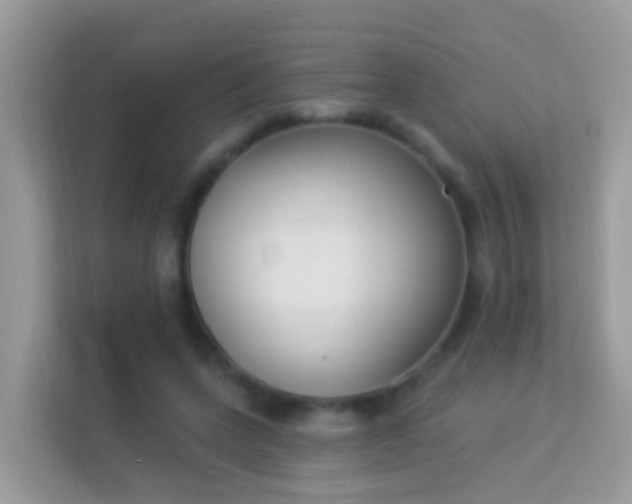 X0000114240543200910091511