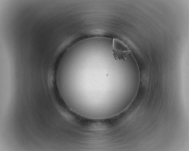 X0000114240544200910091511