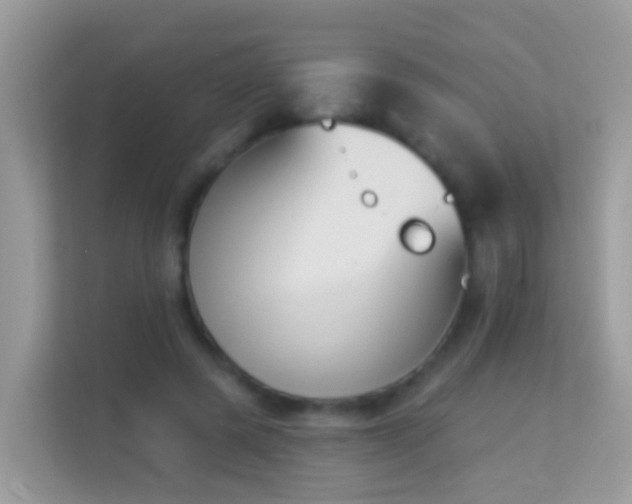 X0000114240545200910091511