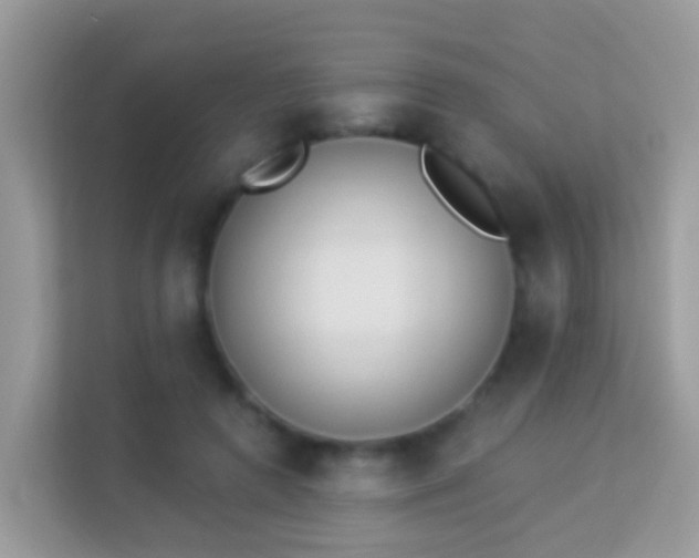 X0000114240546200910091511