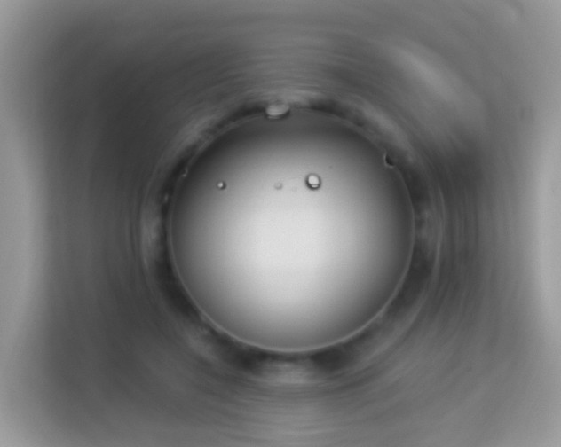 X0000114240548200910091511