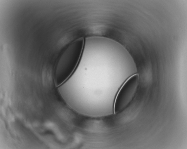 X0000114240552200910091511