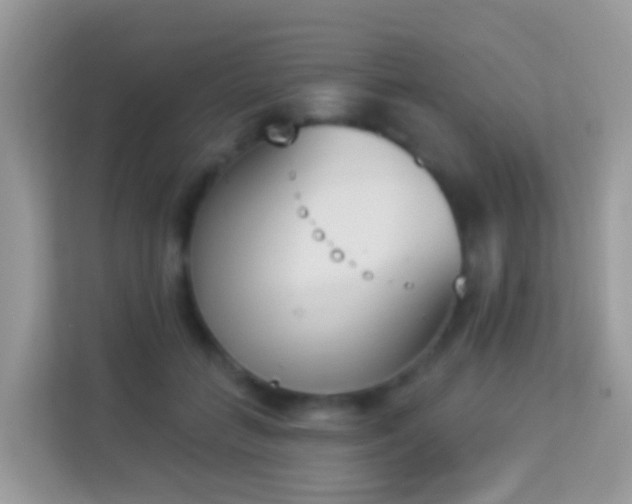X0000114240555200910091511