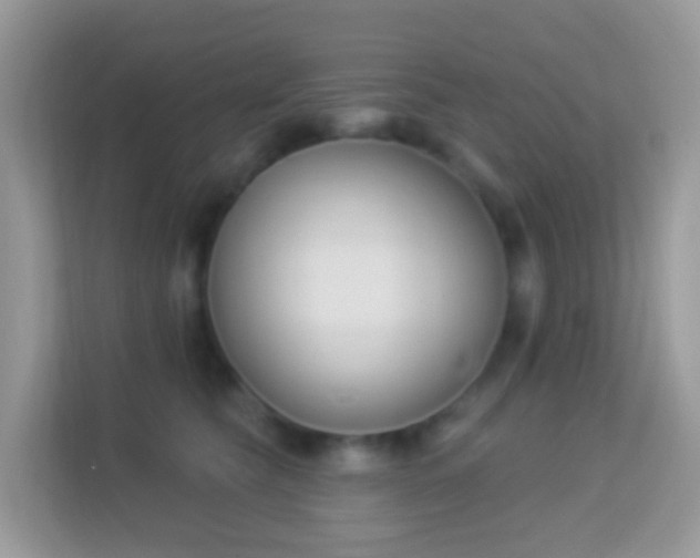 X0000114240565200910091511