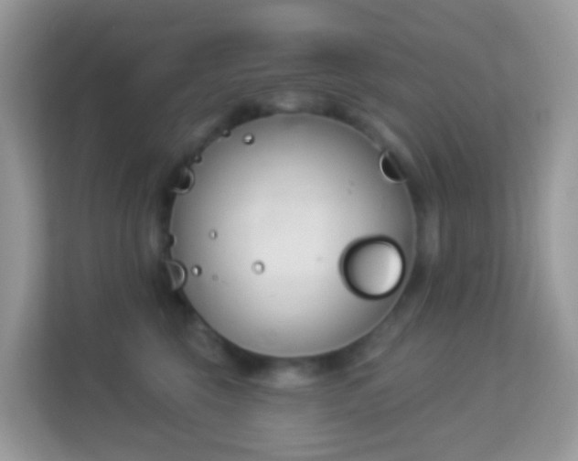 X0000114240569200910091511