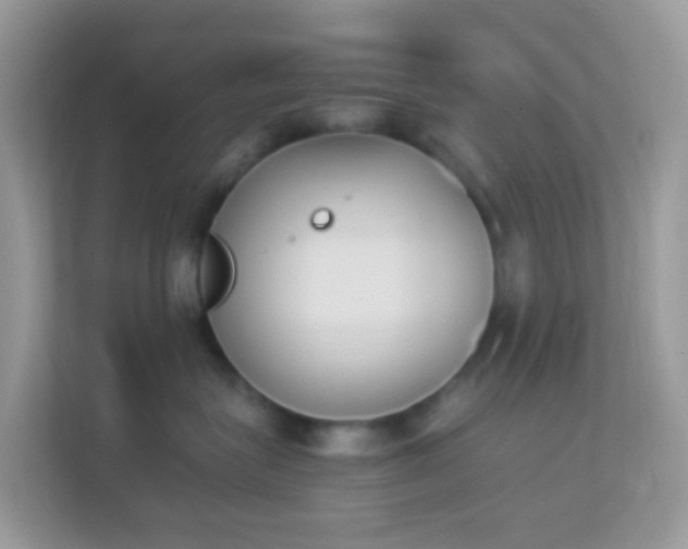X0000114240575200910091511