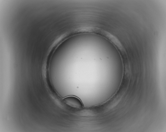 X0000114240578200910091510