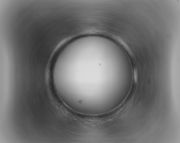 X0000114240579200910091510