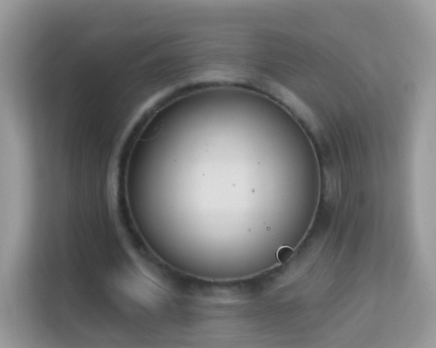 X0000114240580200910091510