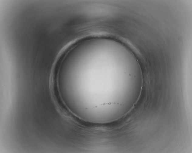 X0000114240583200910091510