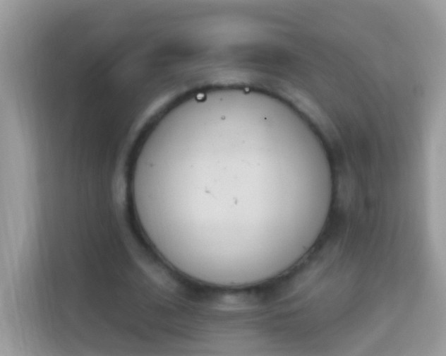 X0000114240584200910091510