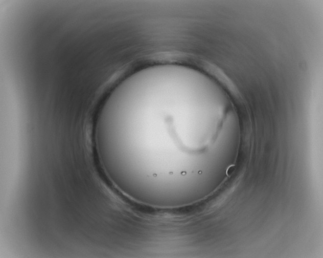 X0000114240585200910091510