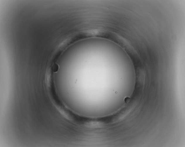 X0000114240590200910091510