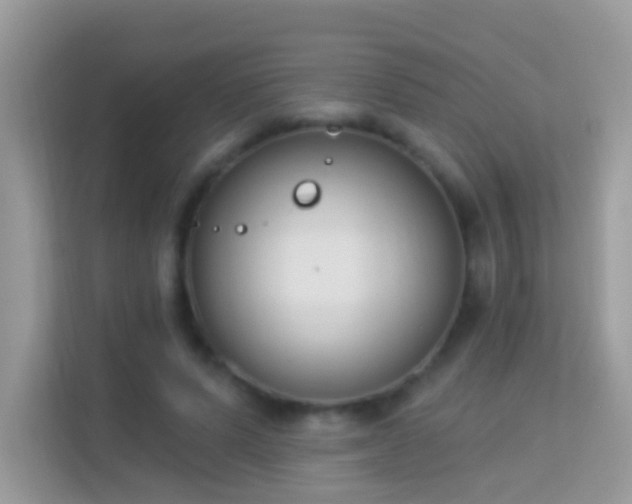 X0000114240591200910091510