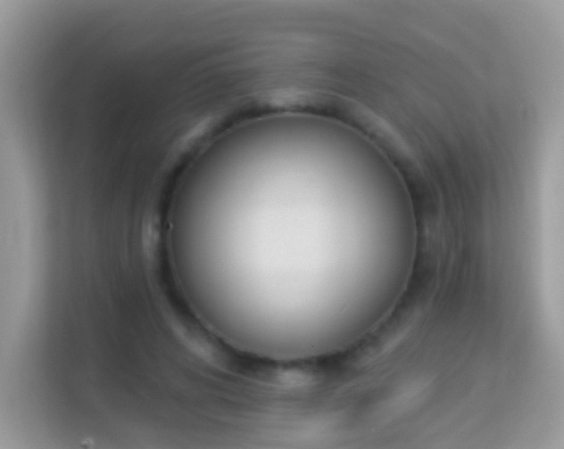 X0000114240592200910091510