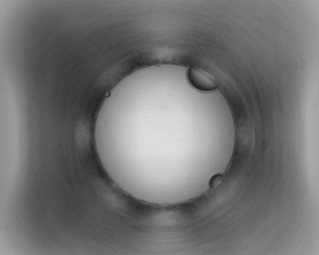 X0000114240593200910091510