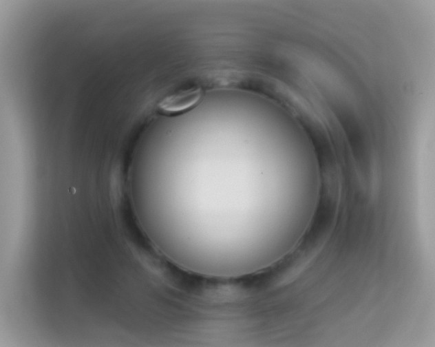 X0000114240594200910091510